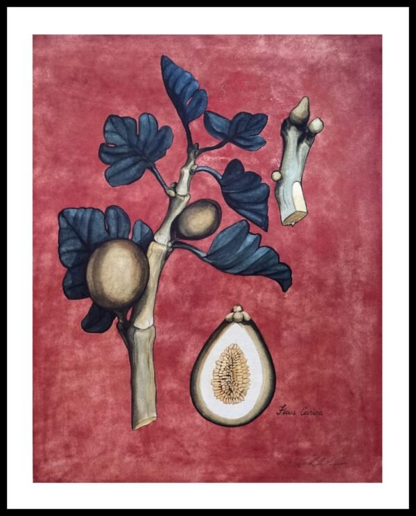 AIM 888 (S/N LIMITED EDITION)